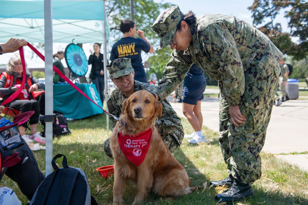 Therapy Dogs visit NSGL
