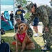 Therapy Dogs visit NSGL