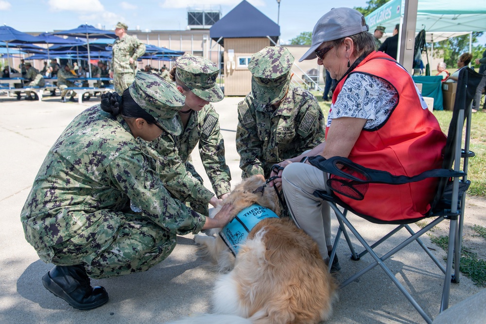 Therapy Dogs visit NSGL