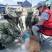 Therapy Dogs visit NSGL
