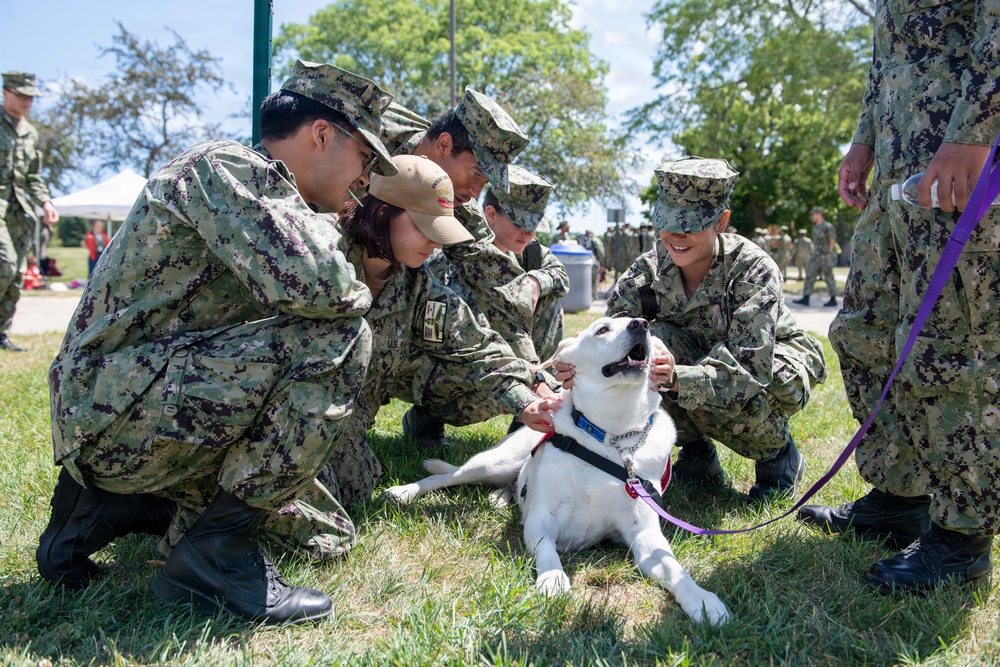 Therapy Dogs visit NSGL