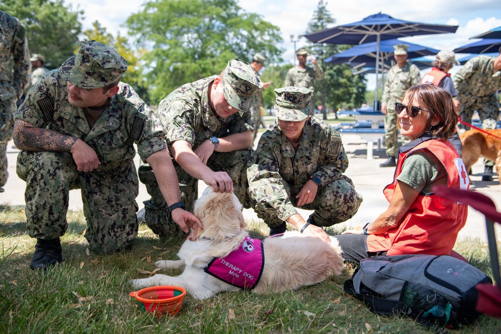 Therapy Dogs visit NSGL