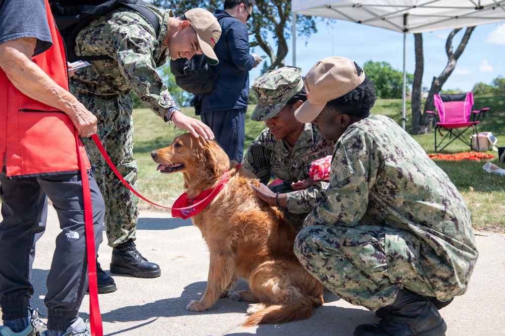 Therapy Dogs visit NSGL