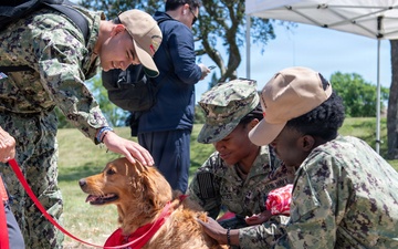 Therapy Dogs visit NSGL