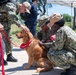 Therapy Dogs visit NSGL