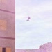 MEDEVAC Training at Fort McCoy