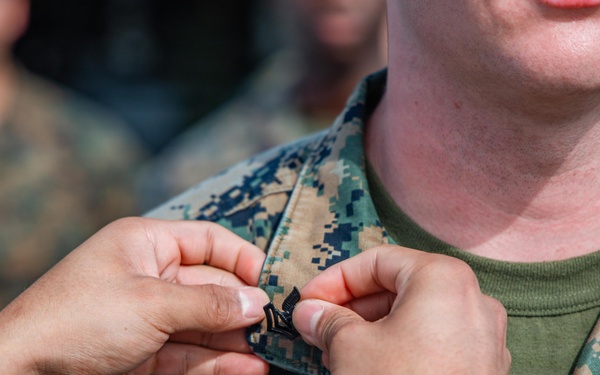LCF-24: Sailor to be Promoted!