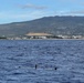 Combined Task Force 177 forces deploy undersea vehicles for RIMPAC 2026