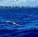 Combined Task Force 177 forces deploy undersea vehicles for RIMPAC 2026