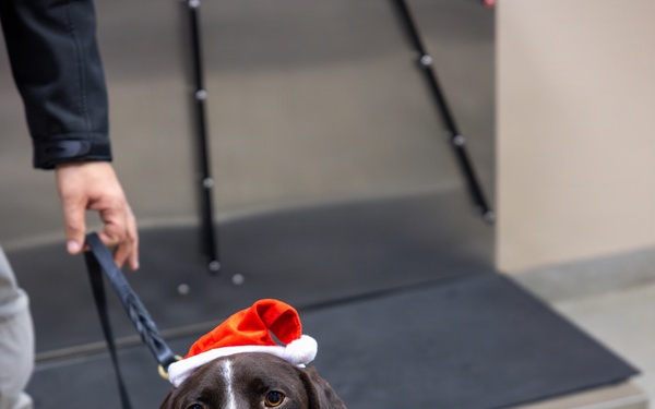 Military Working Dogs from Tinker Air Force Base and two Transportation Security Administration dress as "Santa Paws"