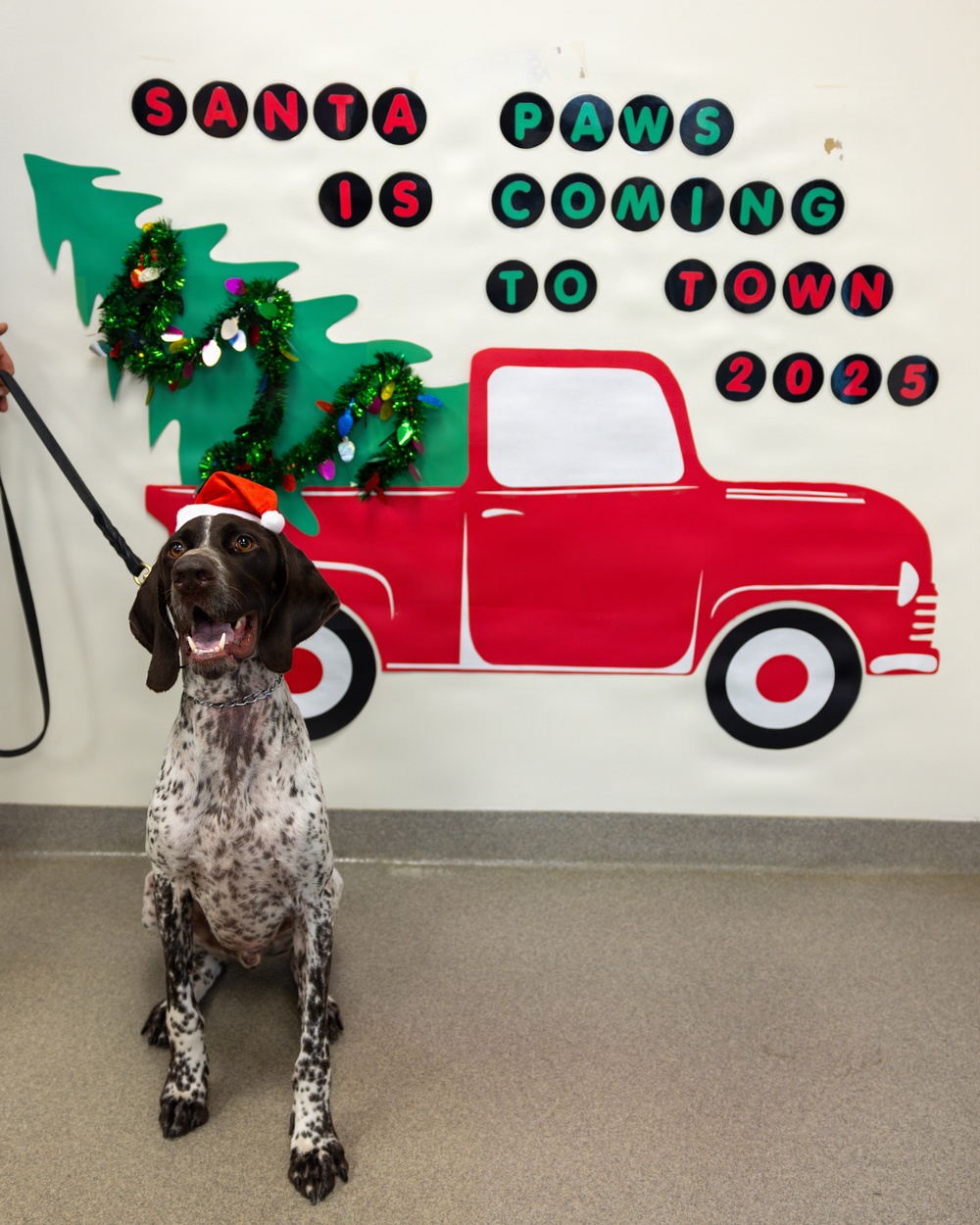 Military Working Dogs from Tinker Air Force Base and two Transportation Security Administration dress as "Santa Paws"