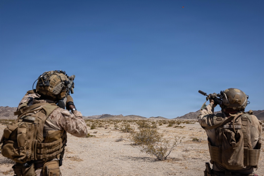 SLTE 4-26: 2nd Battalion, 2nd Marine Regiment Conduct C-sUAS Live Fire Training - Day 2