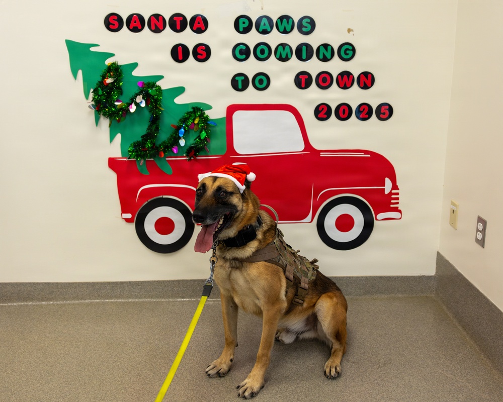 Military Working Dogs from Tinker Air Force Base and two Transportation Security Administration dress as "Santa Paws"