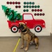Military Working Dogs from Tinker Air Force Base and two Transportation Security Administration dress as "Santa Paws"