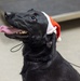 Military Working Dogs from Tinker Air Force Base and two Transportation Security Administration dress as "Santa Paws"