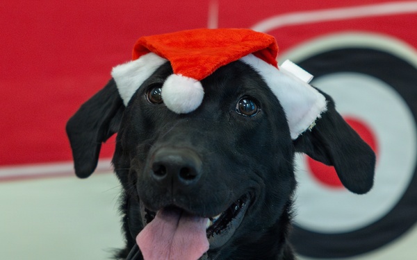 Military Working Dogs from Tinker Air Force Base and two Transportation Security Administration dress as "Santa Paws"