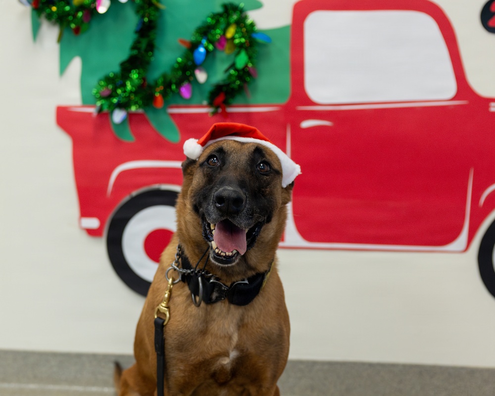 Military Working Dogs from Tinker Air Force Base and two Transportation Security Administration dress as "Santa Paws"