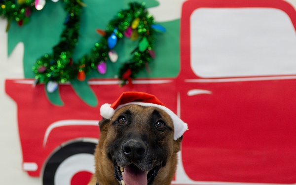 Military Working Dogs from Tinker Air Force Base and two Transportation Security Administration dress as "Santa Paws"