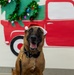 Military Working Dogs from Tinker Air Force Base and two Transportation Security Administration dress as "Santa Paws"