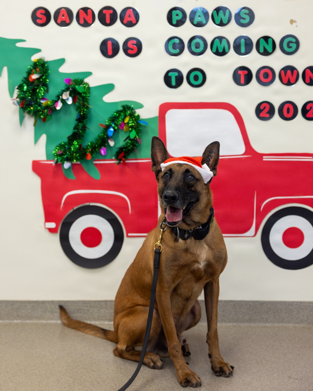 Military Working Dogs from Tinker Air Force Base and two Transportation Security Administration dress as "Santa Paws"