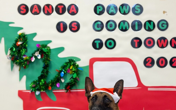 Military Working Dogs from Tinker Air Force Base and two Transportation Security Administration dress as "Santa Paws"