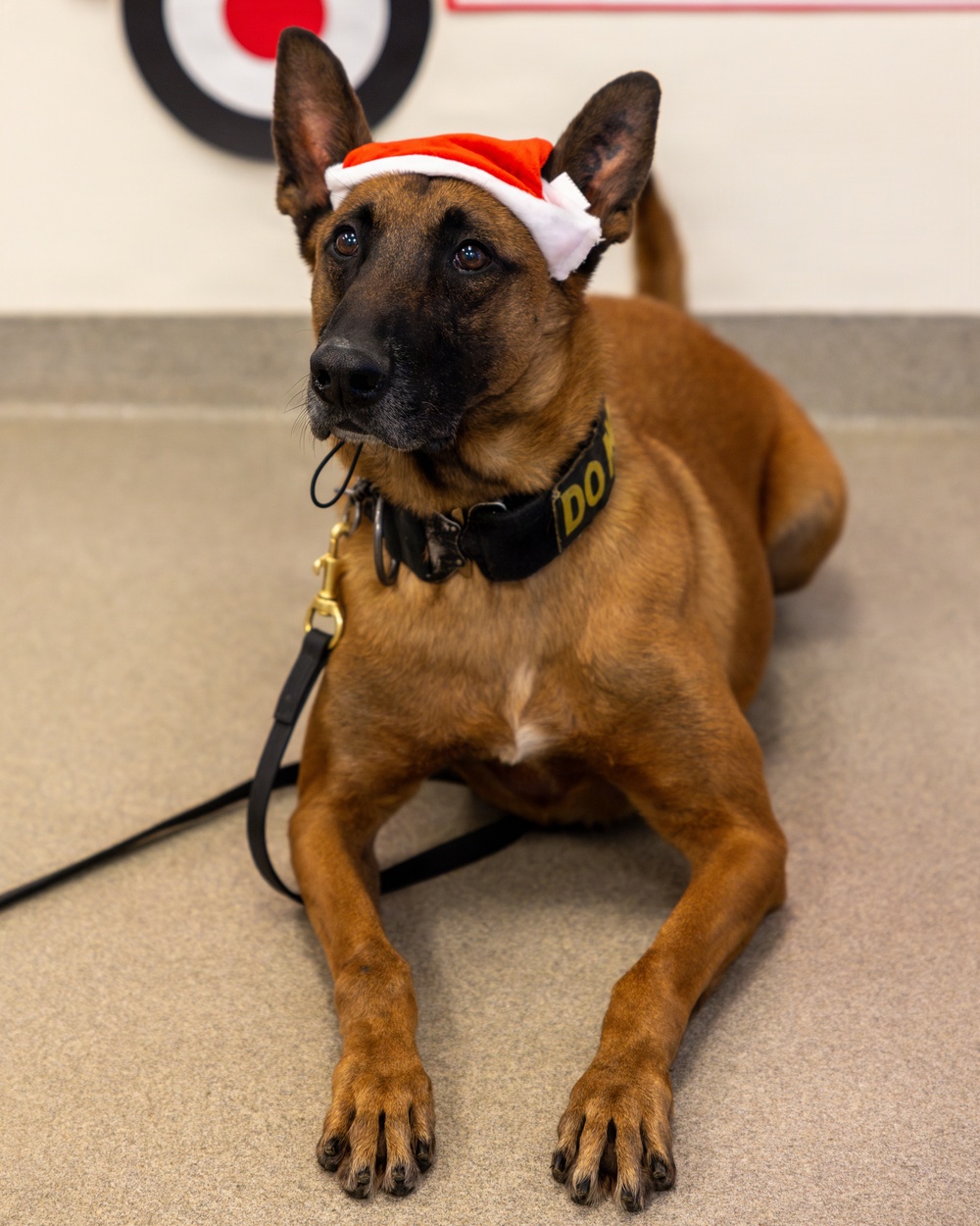 Military Working Dogs from Tinker Air Force Base and two Transportation Security Administration dress as "Santa Paws"