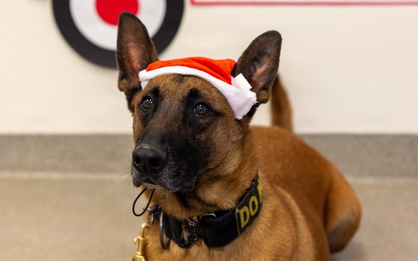 Military Working Dogs from Tinker Air Force Base and two Transportation Security Administration dress as "Santa Paws"