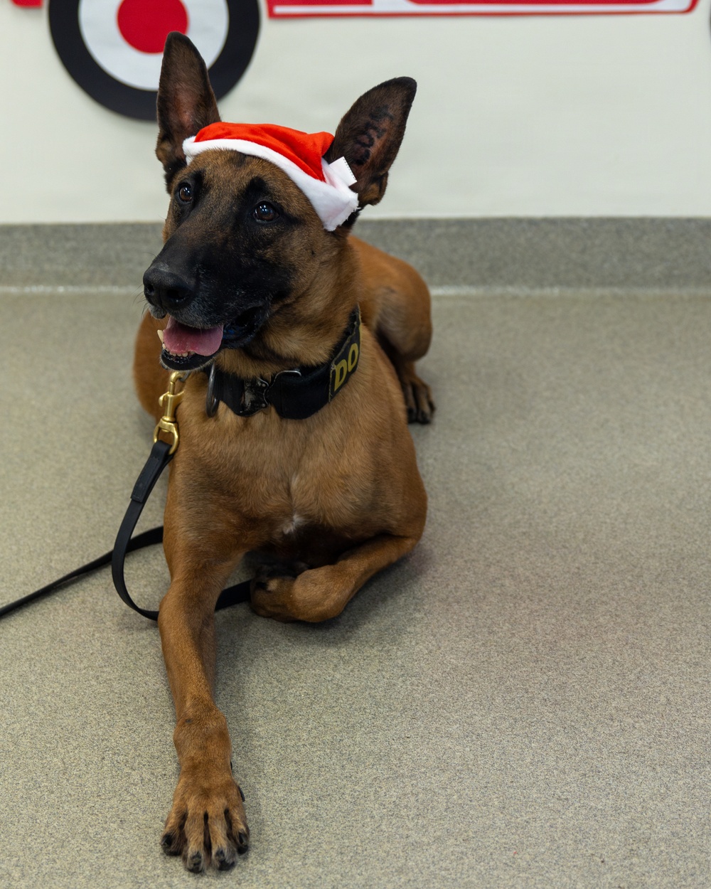 Military Working Dogs from Tinker Air Force Base and two Transportation Security Administration dress as "Santa Paws"