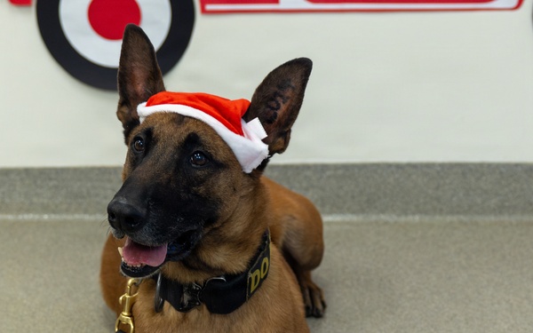 Military Working Dogs from Tinker Air Force Base and two Transportation Security Administration dress as "Santa Paws"