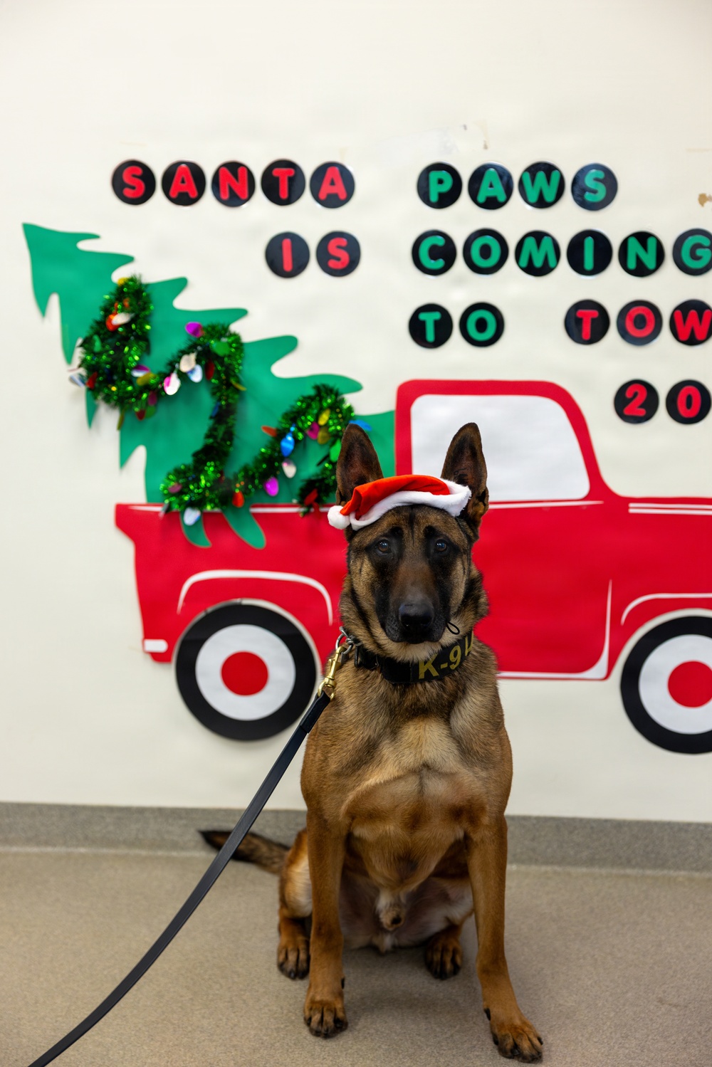 Military Working Dogs from Tinker Air Force Base and two Transportation Security Administration dress as "Santa Paws"
