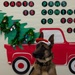 Military Working Dogs from Tinker Air Force Base and two Transportation Security Administration dress as "Santa Paws"