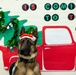 Military Working Dogs from Tinker Air Force Base and two Transportation Security Administration dress as "Santa Paws"