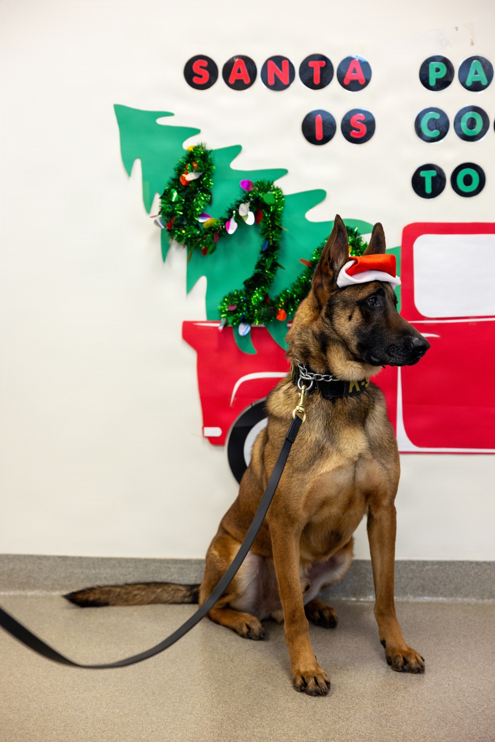 Military Working Dogs from Tinker Air Force Base and two Transportation Security Administration dress as "Santa Paws"