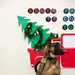 Military Working Dogs from Tinker Air Force Base and two Transportation Security Administration dress as "Santa Paws"
