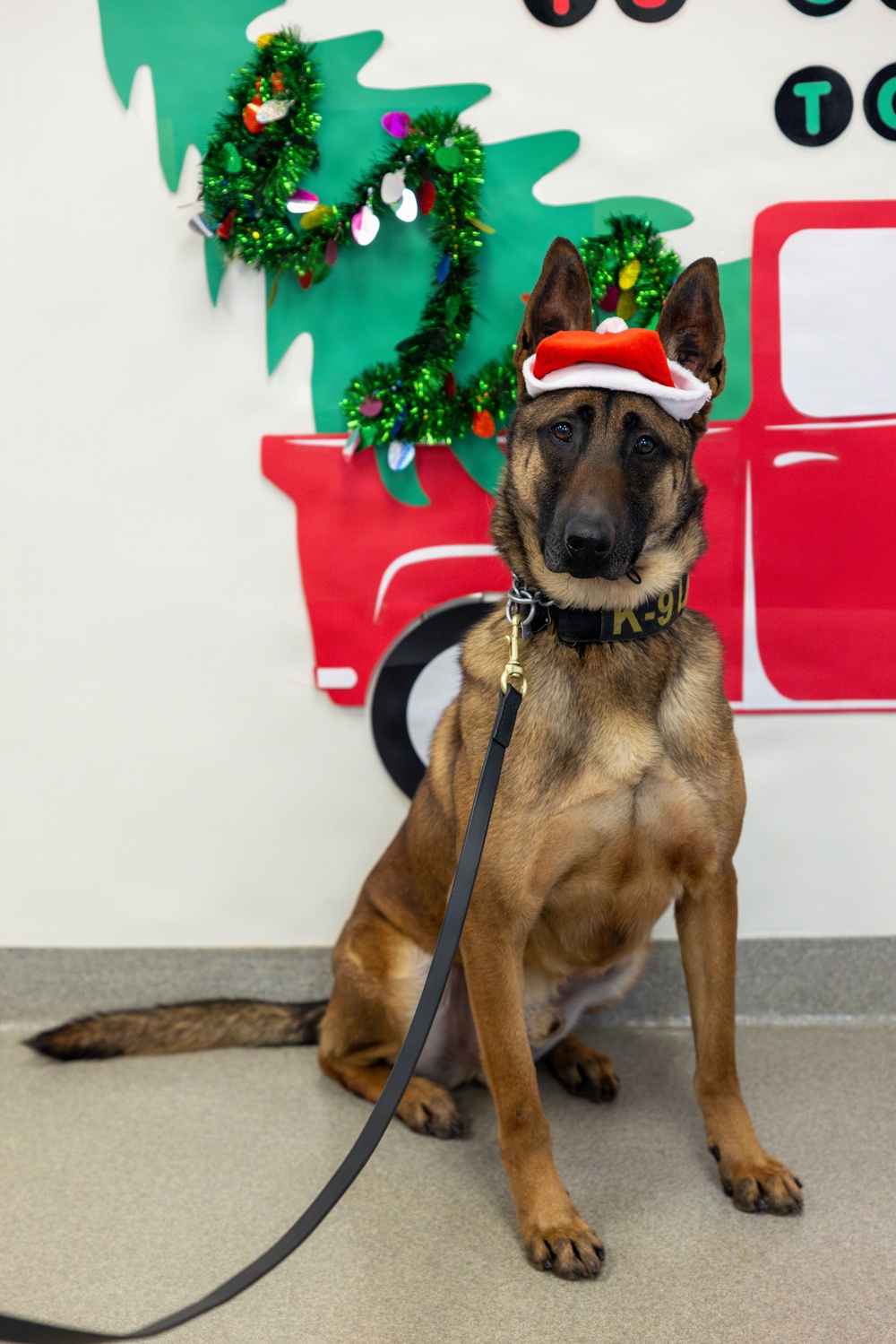 Military Working Dogs from Tinker Air Force Base and two Transportation Security Administration dress as "Santa Paws"