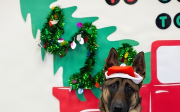 Military Working Dogs from Tinker Air Force Base and two Transportation Security Administration dress as "Santa Paws"