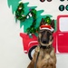 Military Working Dogs from Tinker Air Force Base and two Transportation Security Administration dress as "Santa Paws"