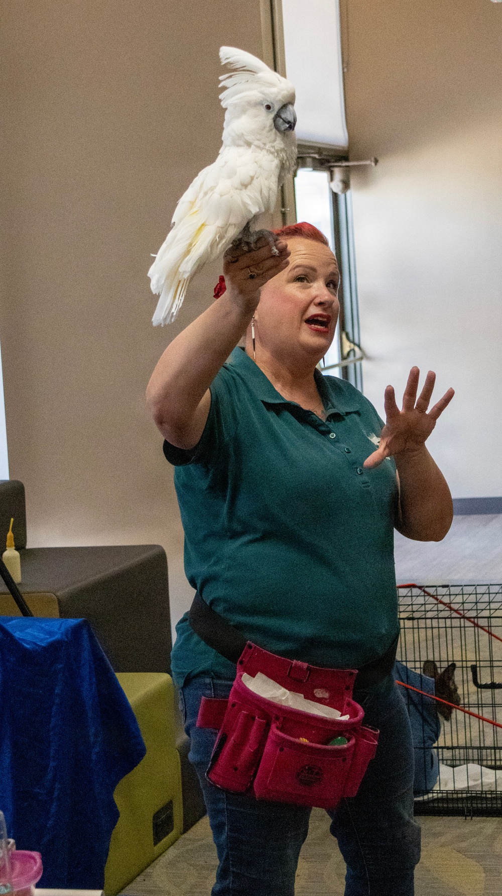 Summer Reading Program Finale