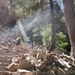 Hanging Lake Trail Restoration