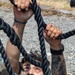 USARPAC Best Squad Competition 2026: Rope Course