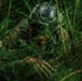 Royal New Zealand Navy EOD technicians participate in dismounted response drill