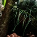 Royal New Zealand Navy EOD technicians participate in dismounted response drill