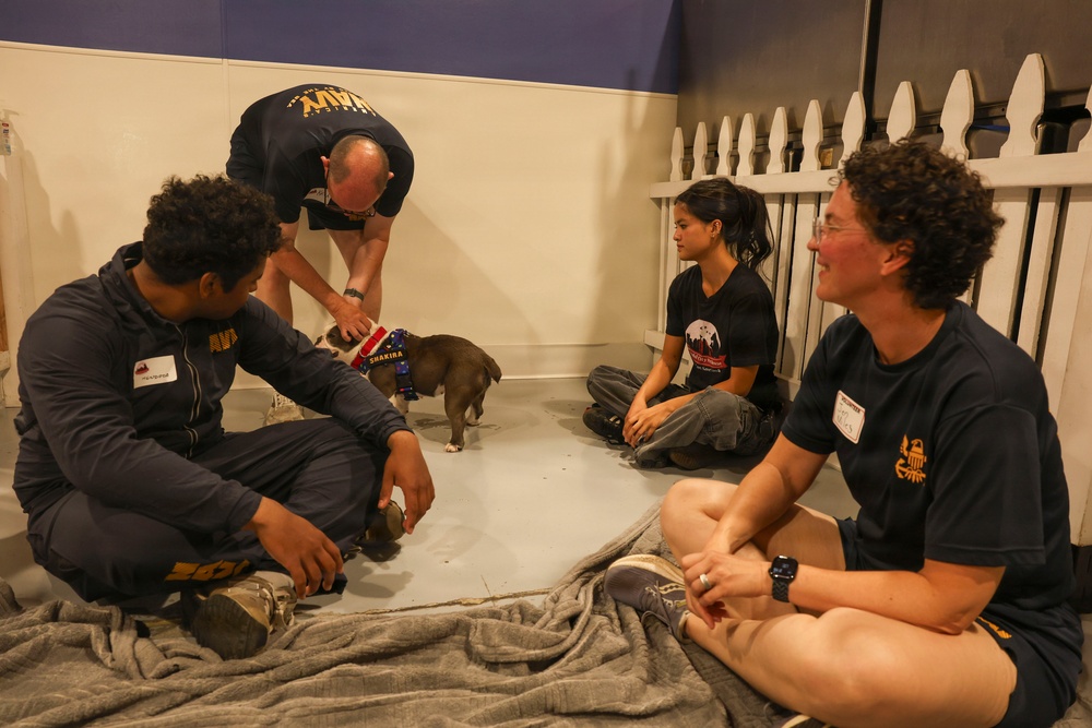 U.S. Navy Sailors Volunteer at Emerald City Pet Rescue