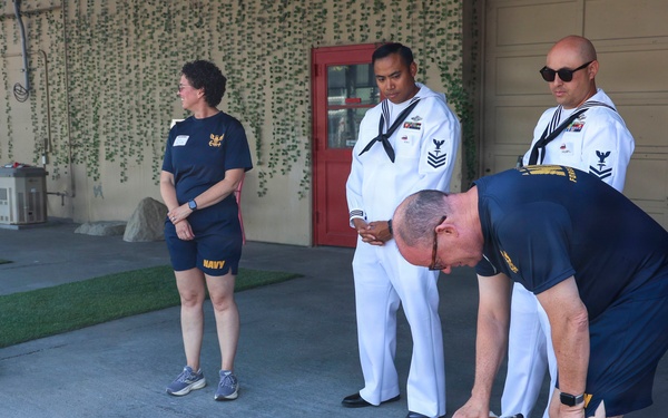 A group of U.S. Navy personnel are gathered outdoors near a building with ivy-covered walls. One person in Navy PT (physical training) gear is bending down to interact with a small brown and white dog wearing a pink harness. Two sailors in dress white uniforms and two others in Navy PT gear observe the interaction.
