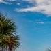 MRV-MEP Launches from Cape Canaveral Space Force Station