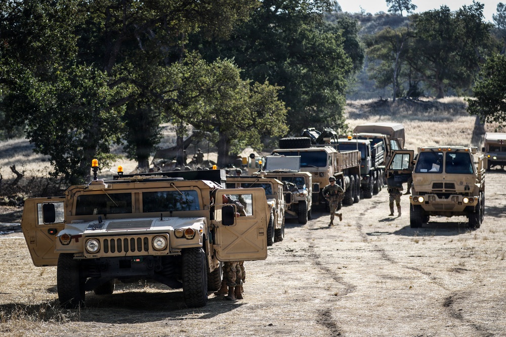 Operation Bold Eagle: Mastering the Volcano System