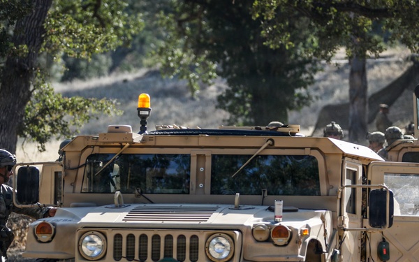 Operation Bold Eagle: Mastering the Volcano System