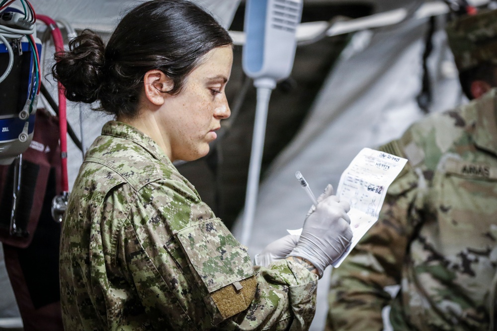 Operation Bold Eagle: Mass Casualty Response
