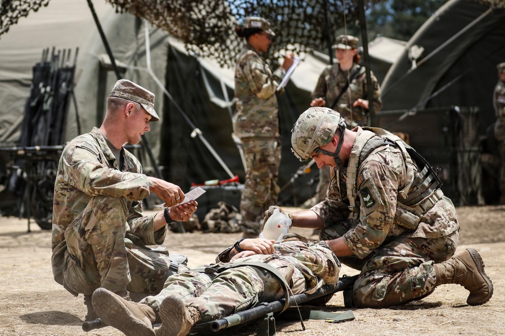 Operation Bold Eagle: Mass Casualty Response
