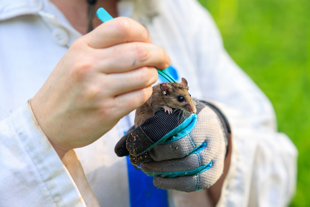 Understanding emerging tick-borne risks at Aberdeen Proving Ground